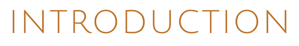 INTRODUCTION